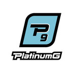 Platinum Garage