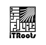 ITRoots